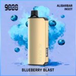 Alibarbar Ingot Blueberry Blast 9000 Puffs