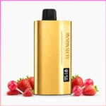 TEQ Alibarbar 12000 Puffs  Chuppa Chuppu Strawberry